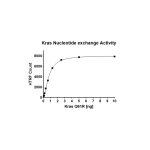 Kras Q61R Nucleotide Exchange Assay Kit